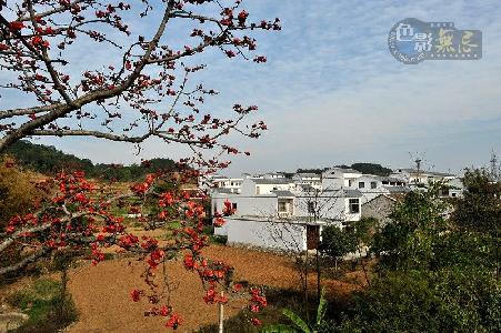 广西平果铝要搞作品《红棉花下的农民新村》