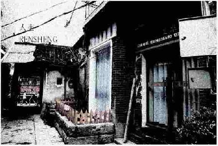 红嘴黑鹎作品:老式住宅