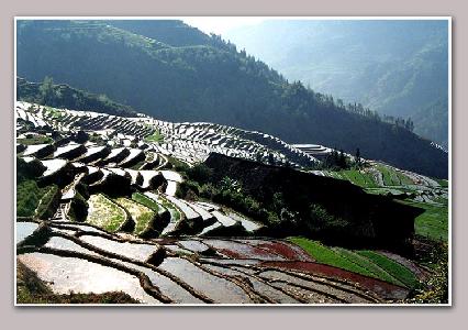 剪影作品:龙脊梯田