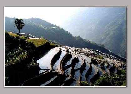 剪影作品:龙脊梯田(2)