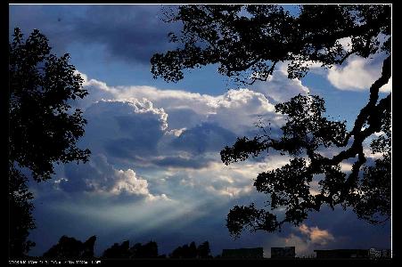 紫行者作品:初暮